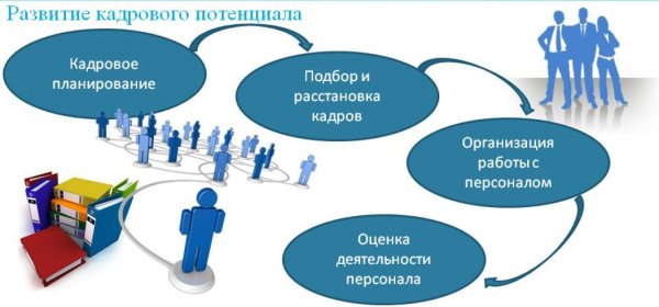 Кадровый потенциал