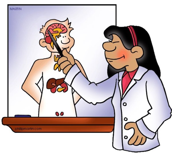 Эндокринолог рисунок