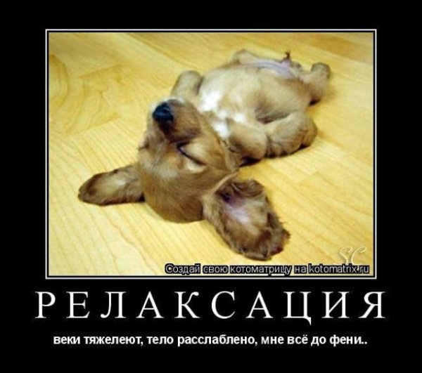 Расслабиться юмор