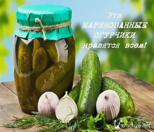 С днем соленого огурца