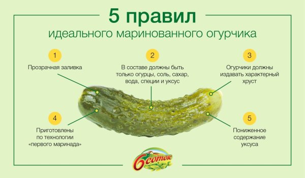 С праздником соленого огурчика