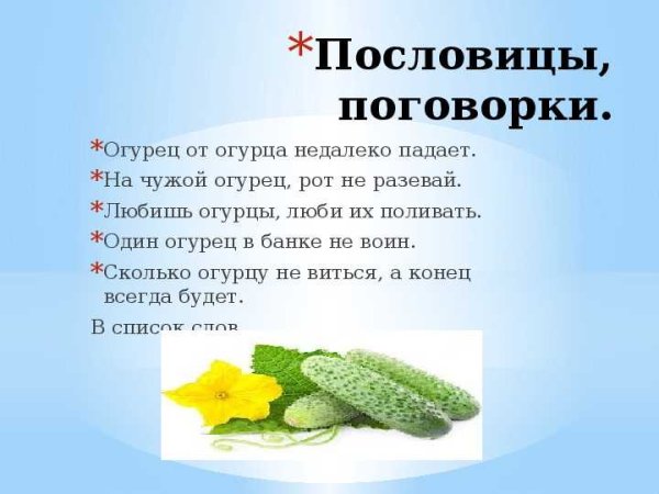 Пословица про огурец