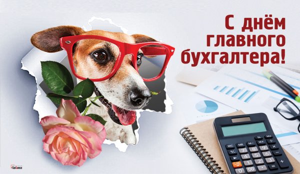 День главного бухгалтера