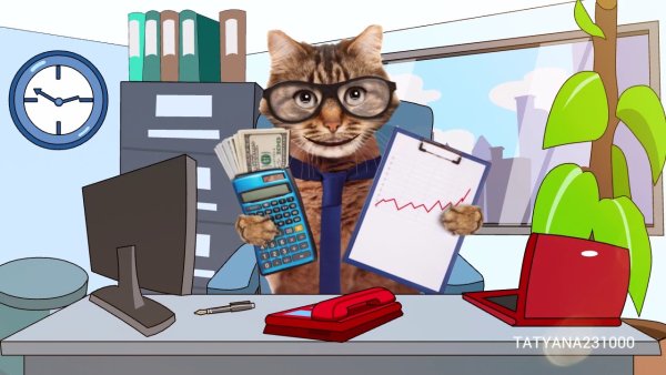 Кошка счетовод