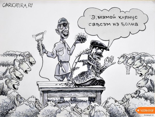 Мемы карикатуры