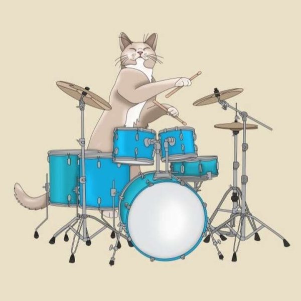 Кот барабанщик