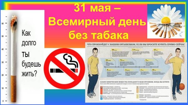 Всемирный день без табака брошюры