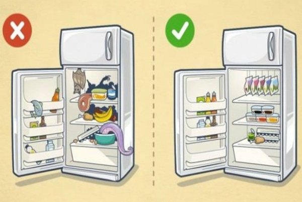 Инфографика холодильник