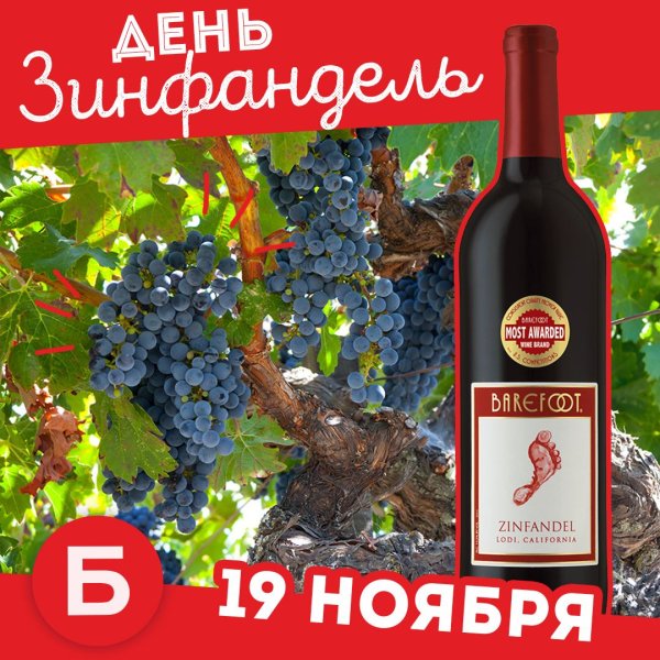 Сорт винограда Зинфандель Калифорния