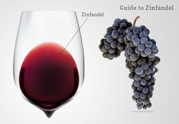 Сорт винограда Зинфандель вино