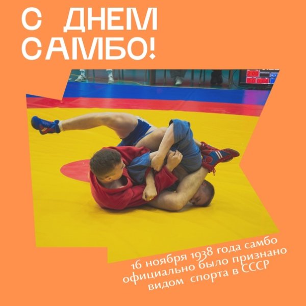 С праздником самбист