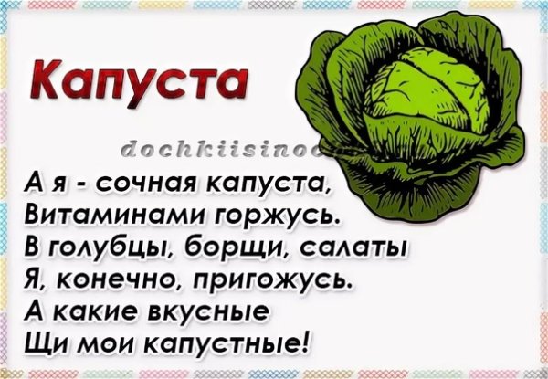 Стих про капусту