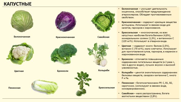 Капуста белокочанная кольраби брокколи