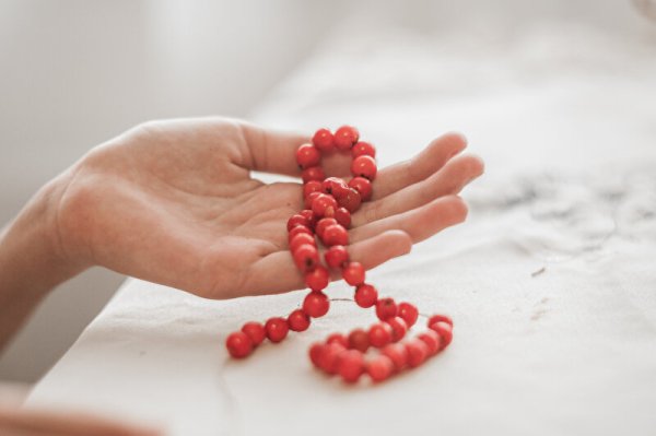 Рябиновые бусы