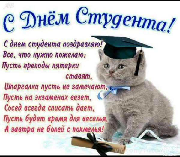 Поздравления с днём студена