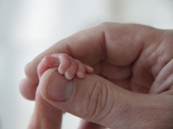 День белых лепестков