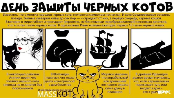 День черного кота
