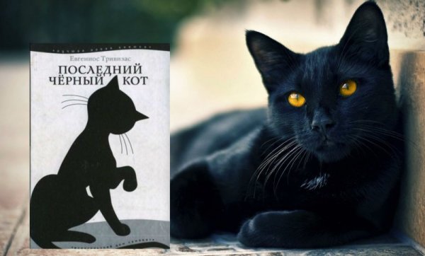 Последний черный кот Евгениос Тривизас книга