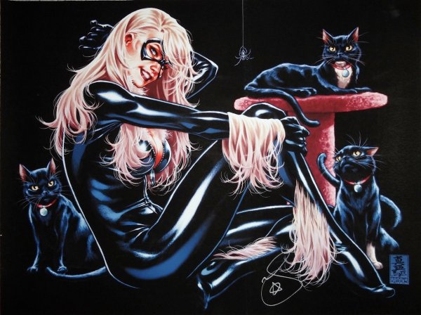 Фелиция Харди чёрная кошка ворует