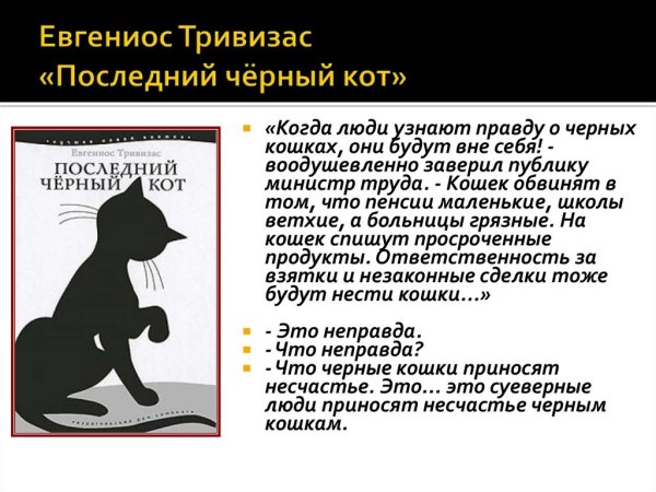 Последний черный кот книга
