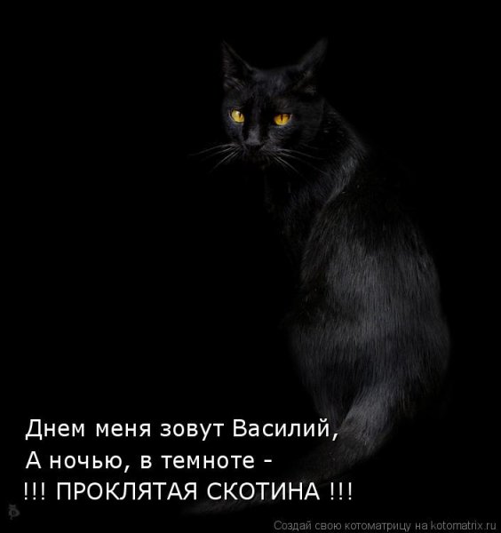 Искать черную кошку в черной комнате