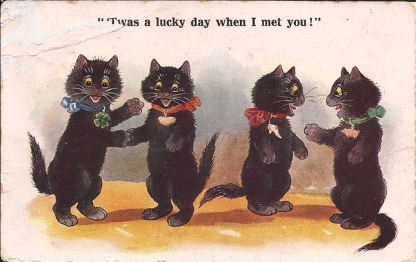 День защиты черных котов и кошек картинки