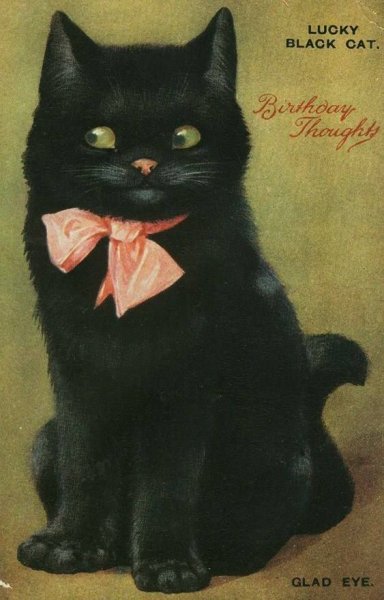 Черный котик с днем рождения