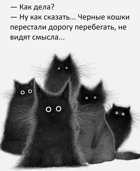 Смешные черные коты рисунки