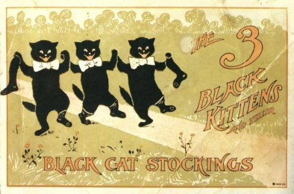 День защиты черных кошек