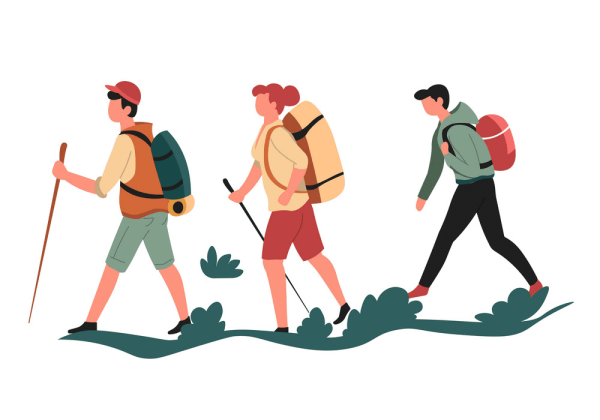 Поход вектор