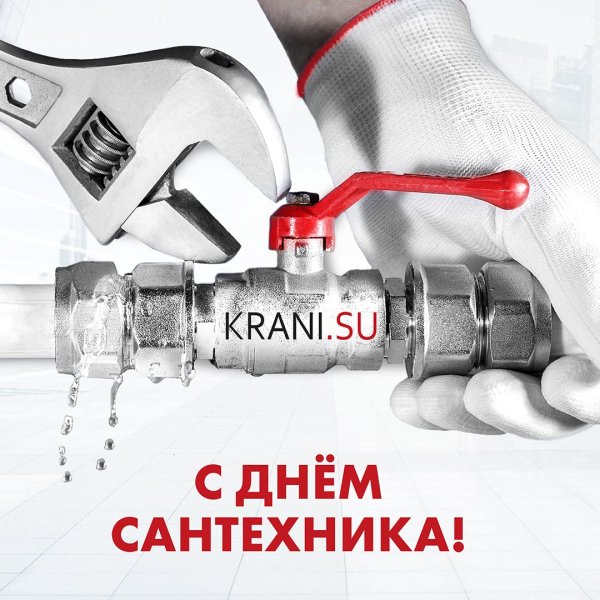 Всемирный день сантехника