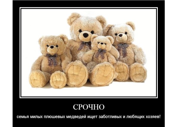 Бог дает большого мишку