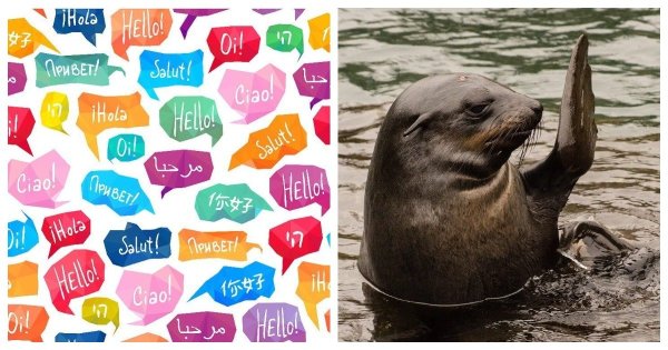 Фон Всемирный день приветствий