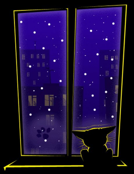 Кошка на окне ночью