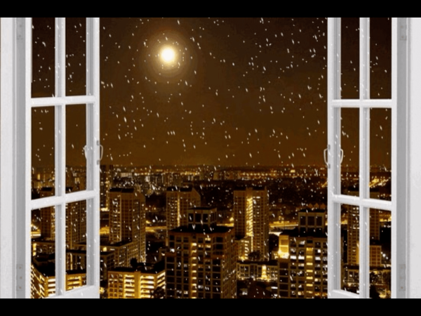 Снег за окном