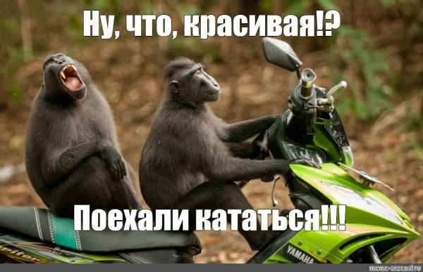 Поехали кататься