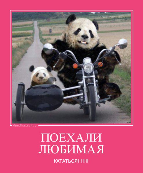 Поехали кататься