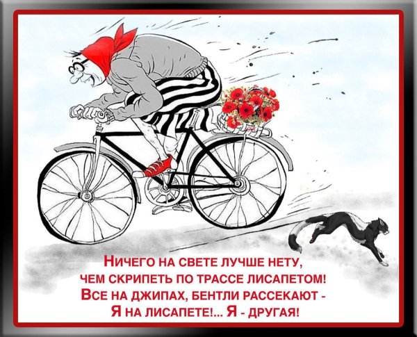 Высказывания про велосипед