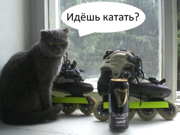 День поехали кататься открытки