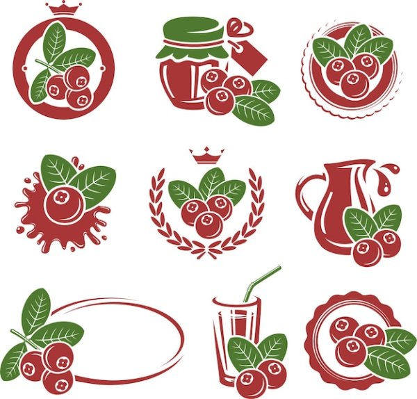 Лого с орнаментом ягоды