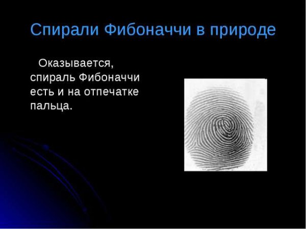 Числа Фибоначчи в природе