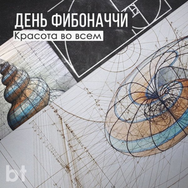 День Фибоначчи 23 ноября