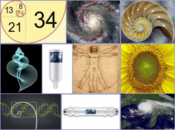 Спираль Леонардо Фибоначчи