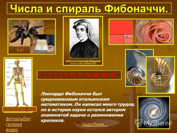 Леонардо Фибоначчи числа