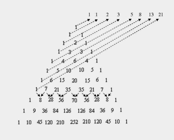 Числовой ряд Фибоначчи