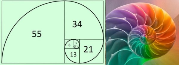 Число золотого сечения 1.618