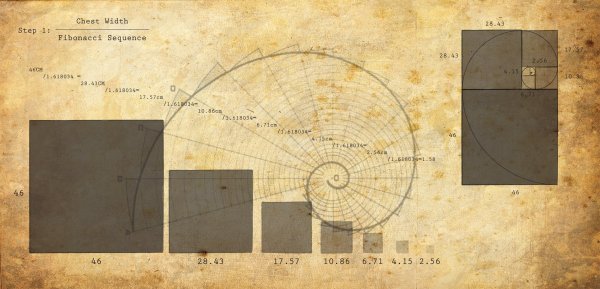 Фибоначчи золотое сечение фон