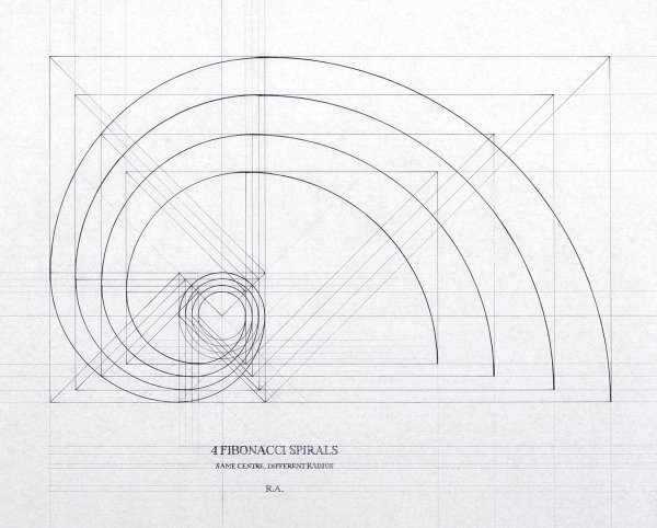Спираль да Винчи или Фибоначчи