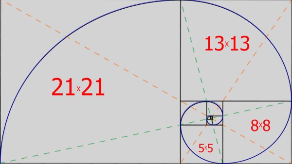 Сечение Фибоначчи в дизайне