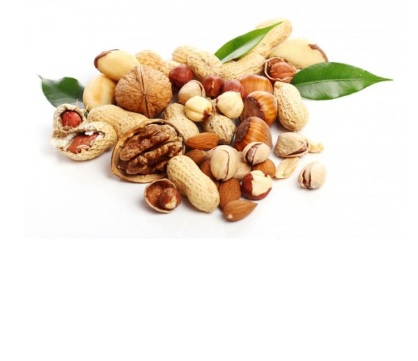 Орехи карточки для детей